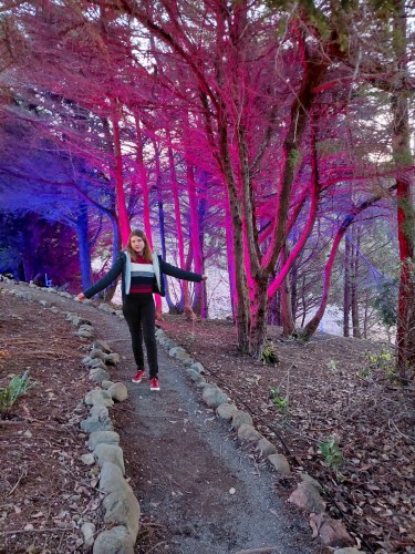 Alunos do projeto Ganhando o Mundo na Nova Zelândia